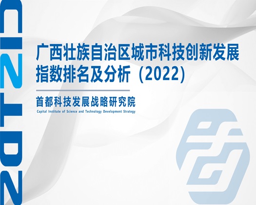 亚洲操骚逼【成果发布】广西壮族自治区城市科技创新发展指数排名及分析（2022）